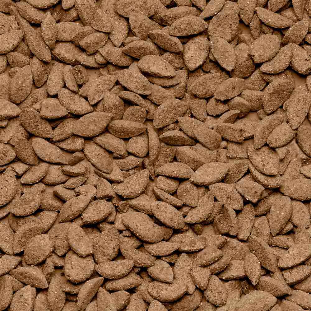 Alimento rico en fibras y proteínas para Chinchillas Care+ BEAPHAR - Imagen 2