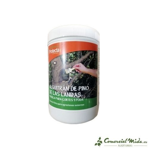 Masilla Cortes Pasta di Potatura con Catrame di Pino Landes - 800 gr