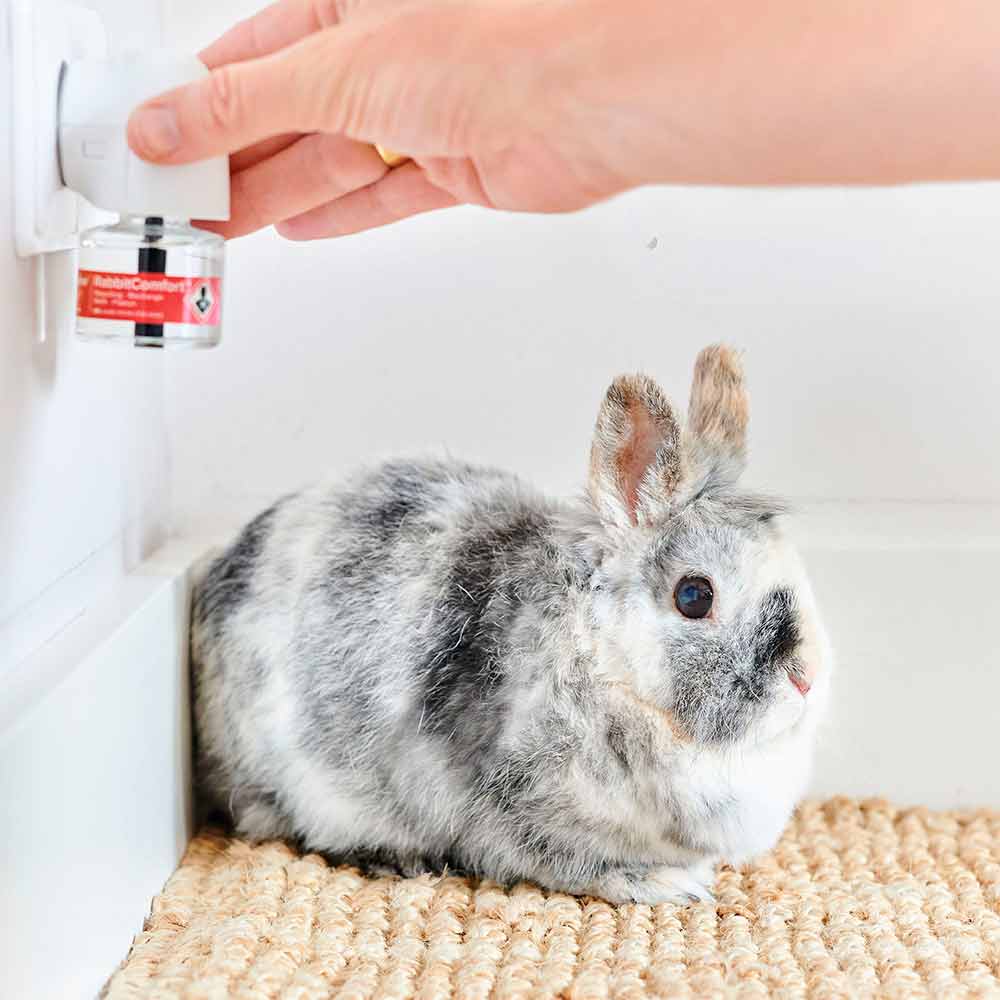 Recambio y Difusor de feromonas antiestrés para Conejos RabbitComfort BEAPHAR - Imagen 3