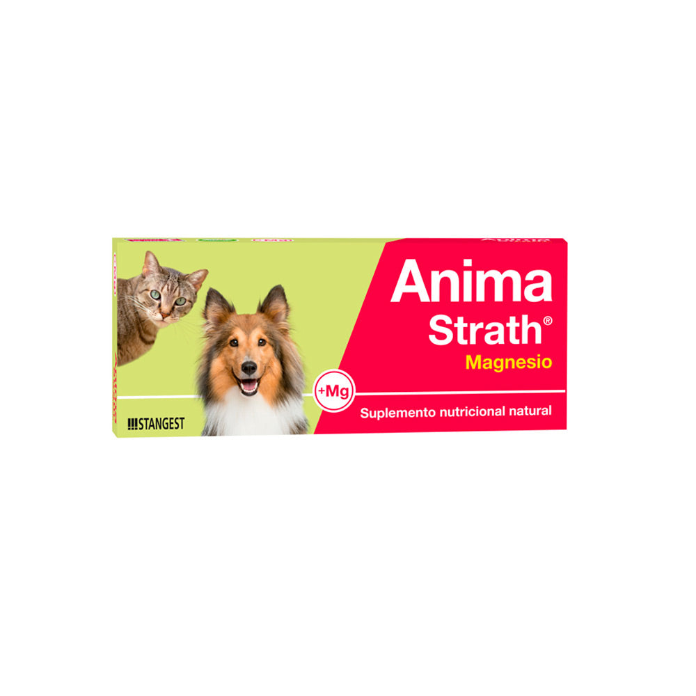 Supplemento Anima-Strath STANGEST