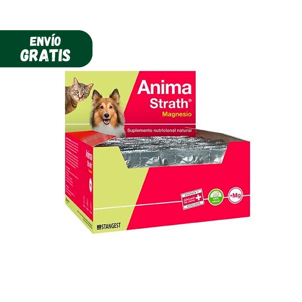Supplemento Anima-Strath STANGEST - Imagen 3