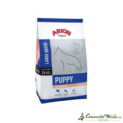 Penso che ARION Original Puppy Large Breed Salmon for Large Puppies