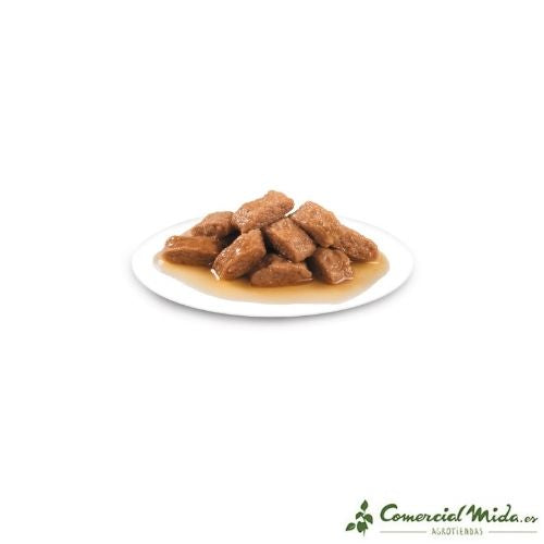 Alimenti ROYAL CANIN ADULT MEDIUM INVECCHIAMENTO 10+ UMIDO Cani Medio Senior 10x140gr - Imagen 3