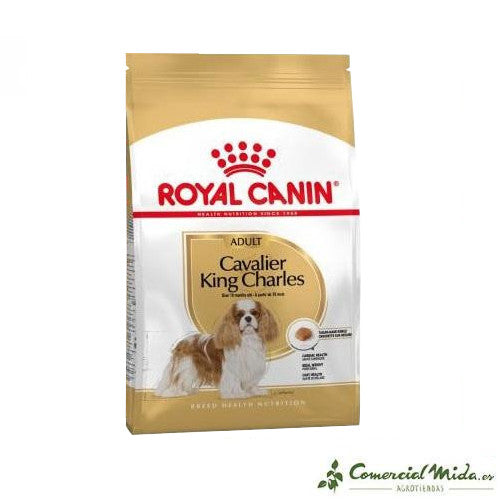 Penso che ROYAL CANIN CAVALIER KING CHARLES ADULT cani adulti (dai 10 mesi)