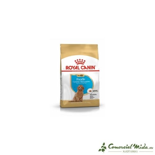 Penso che ROYAL CANIN POODLE PUPPY per Poodle Puppy 3Kg