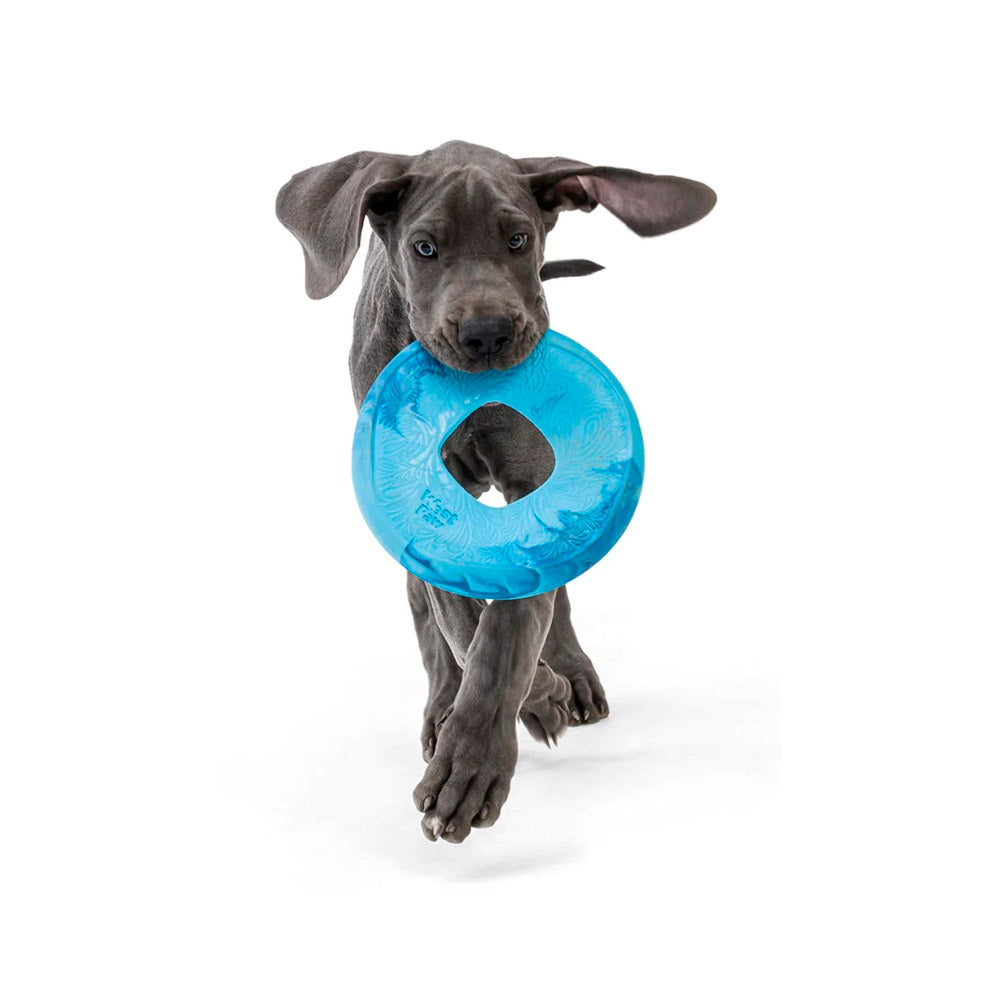 Juguete WEST PAW DEAFLEX SALILZ LARGE 22CM AZUL - Imagen 4