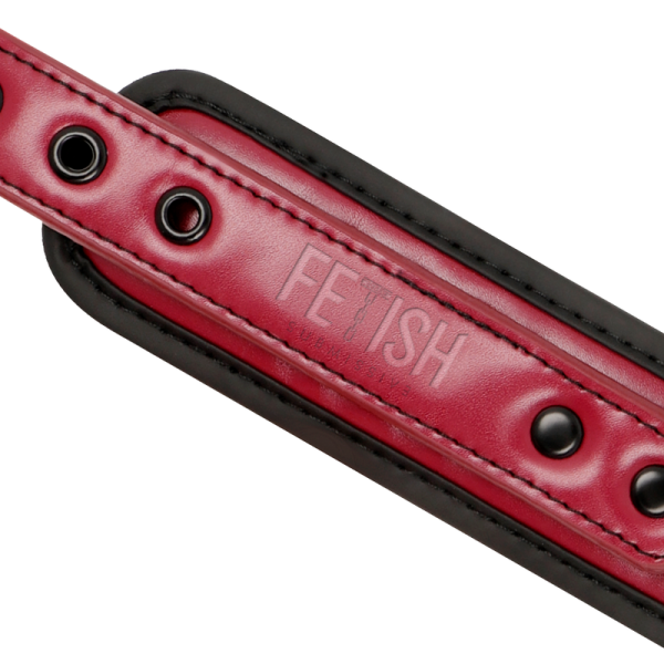 FETISH SUBMISSIVE DARK ROOM - COLLAR CON CADENA CON FORRO DE NEOPRENO - Imagen 2